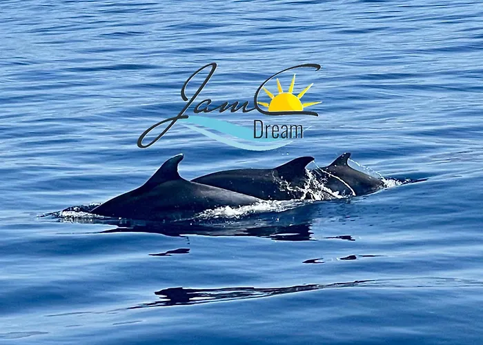 Jamc Dream Familientraum Direkt Am Mit Beheiztem Pool Privlaka (Zadar)